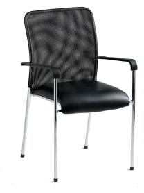 כיסא אורח MIAMI